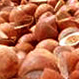 edible copra